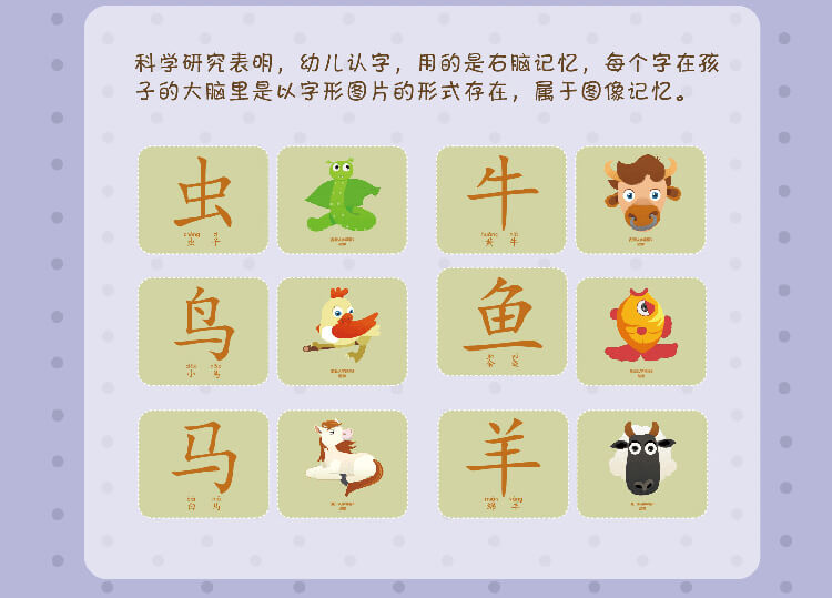 认字卡